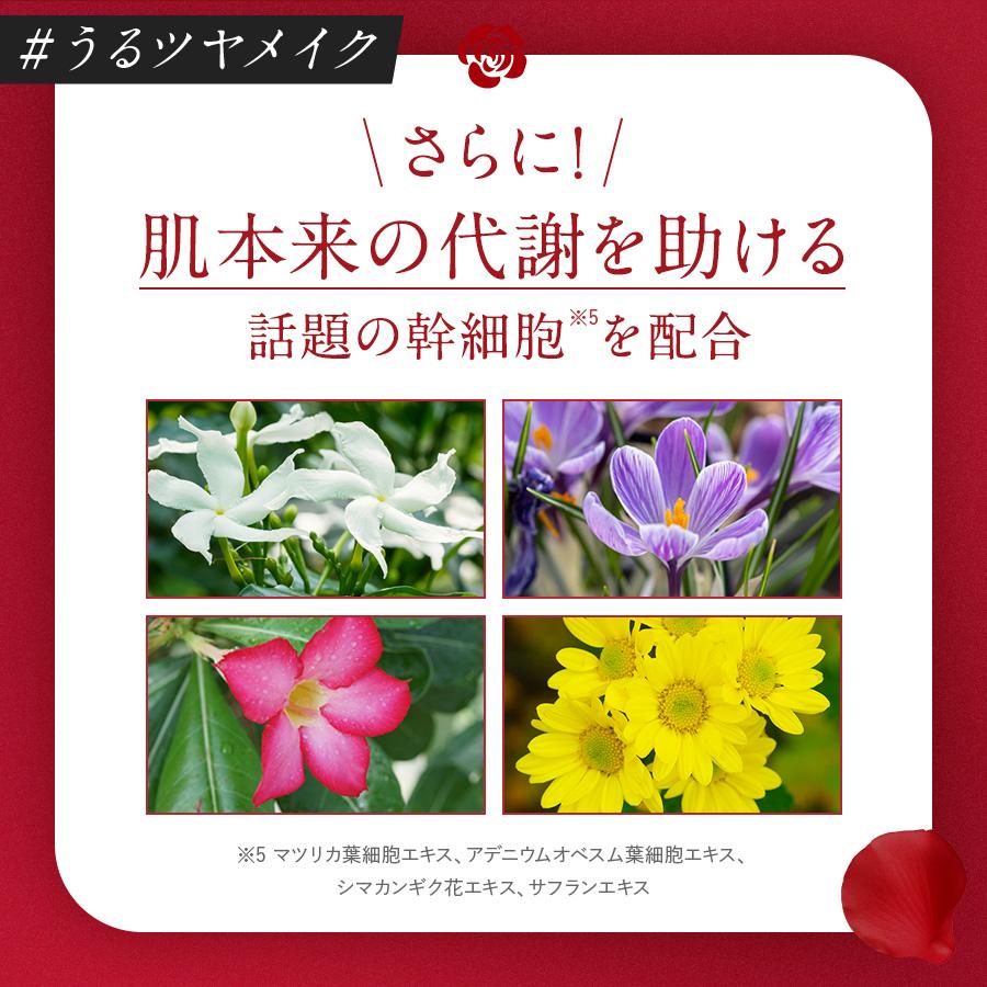 銀座ステファニー化粧品 ○1200円クーポン有 公式 リフィル3個セット