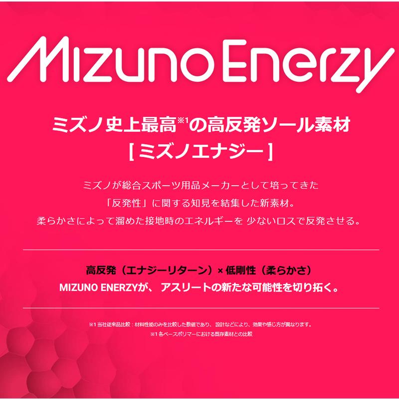 オールマイティ ミズノ 安全靴 TD2 51L MIZUNO F1GA2402 カラー オールマイティ ミズノ 安全靴 TD2 51L MIZUNO F1GA2402 カラー