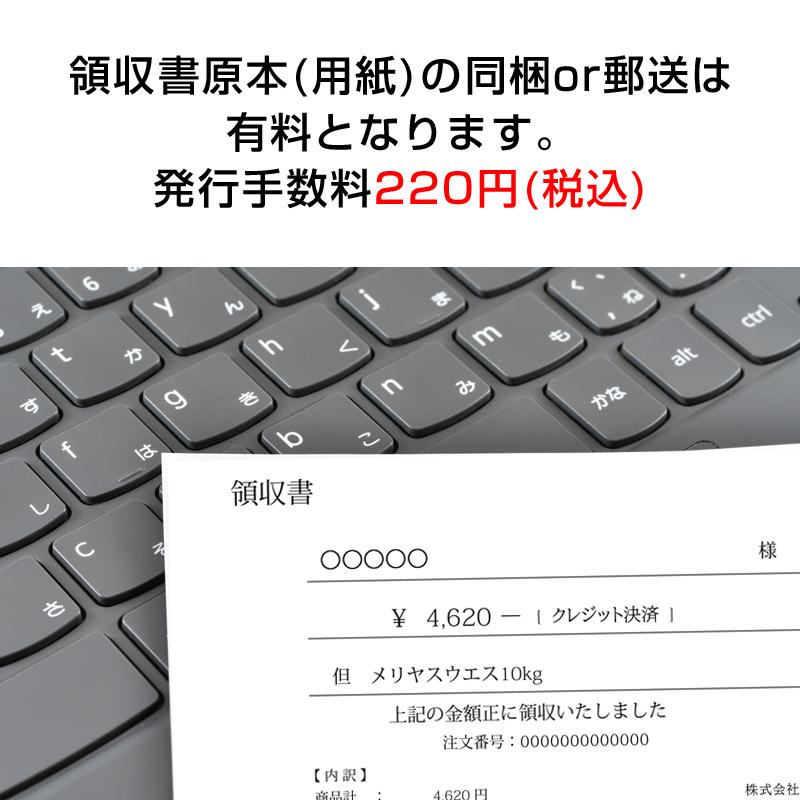紙の領収書 手書きの領収書 発行手数料 ※ご注文1件に付き1枚 ※同 紙の領収書 手書きの領収書 発行手数料 ※ご注文1件に付き1枚 ※同