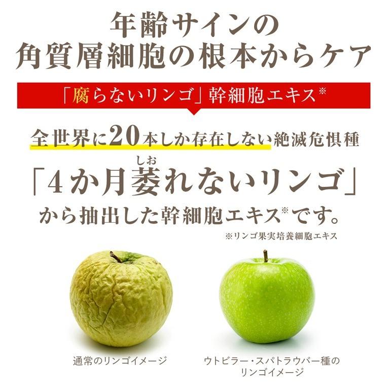 リンゴ 幹細胞 エキス 配合 アイクリーム ステムショットアイセラム ローズヒップ オイル アルジレリン 配合 年齢肌 エイジングケア オメガ3 ハリ 目元 口元 Eye01 Rosehip プロヴァンスガーデン 通販 Yahoo ショッピング