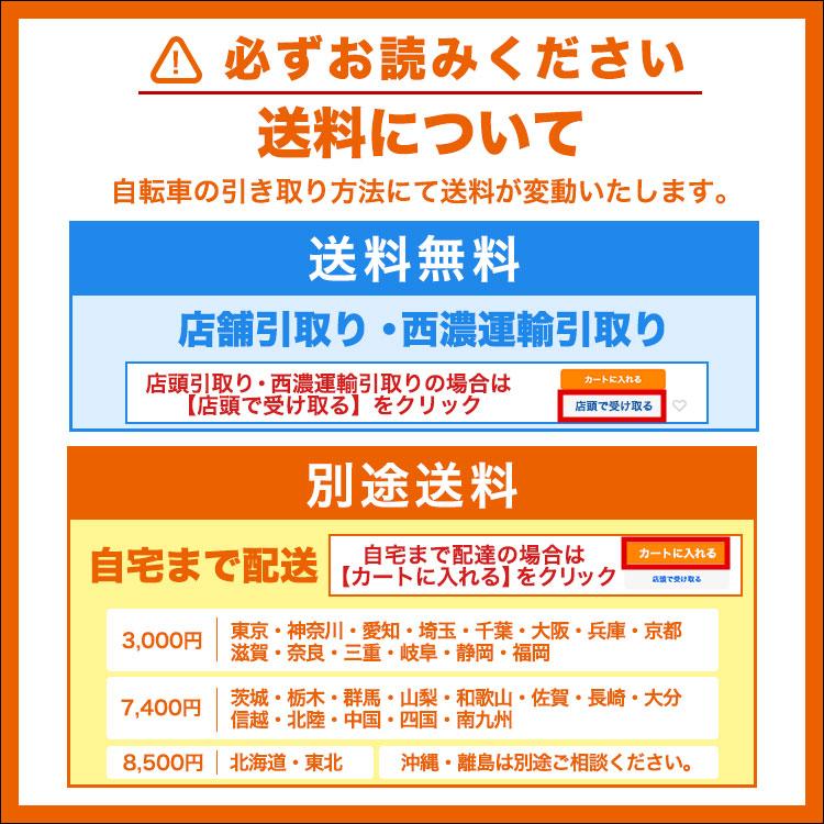 ヤマハ発動機 2025年モデル PA20BB パス バビー 電動アシスト