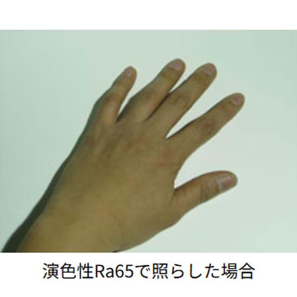 嵯峨電機 saga ストロングライト LED コードレスタイプセット 充電器付き LB-LED12W-FL-Ra |  | 07