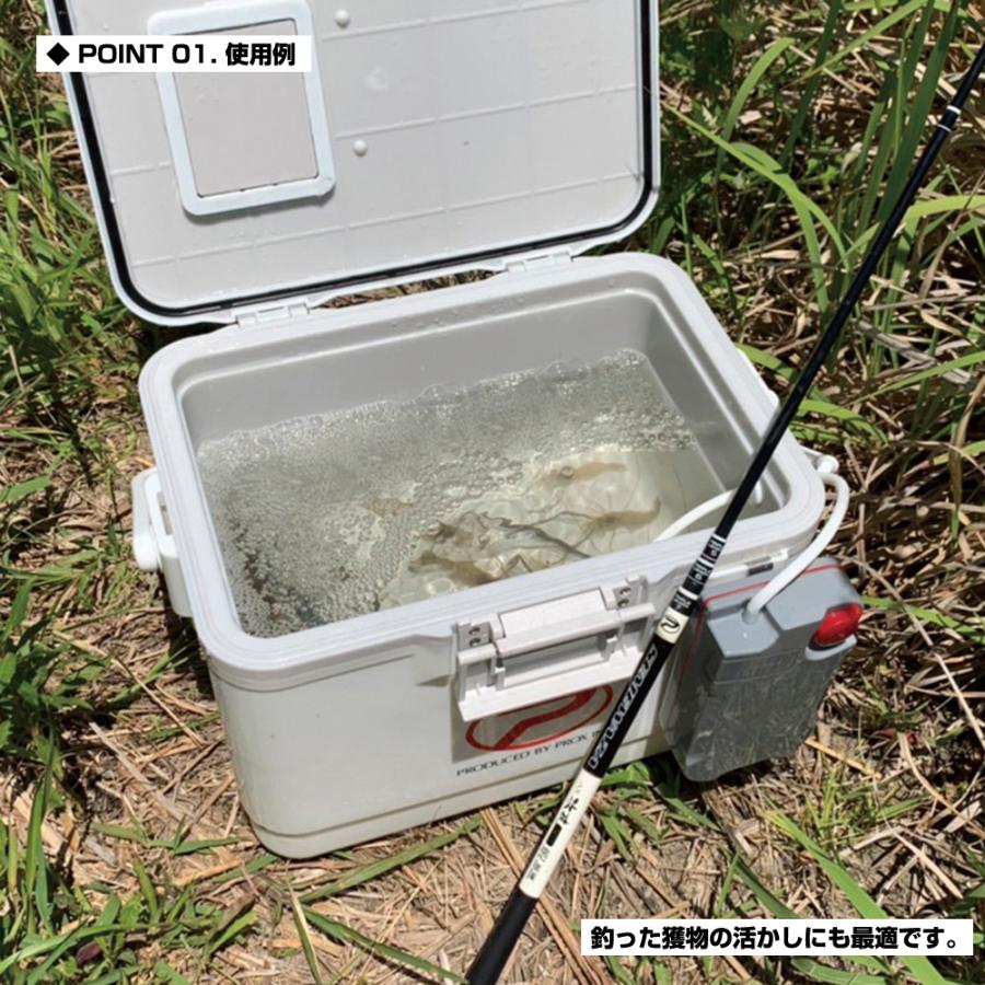 (PROX) メガエアーHP-2000 (MAHP2000) | PROX | 01