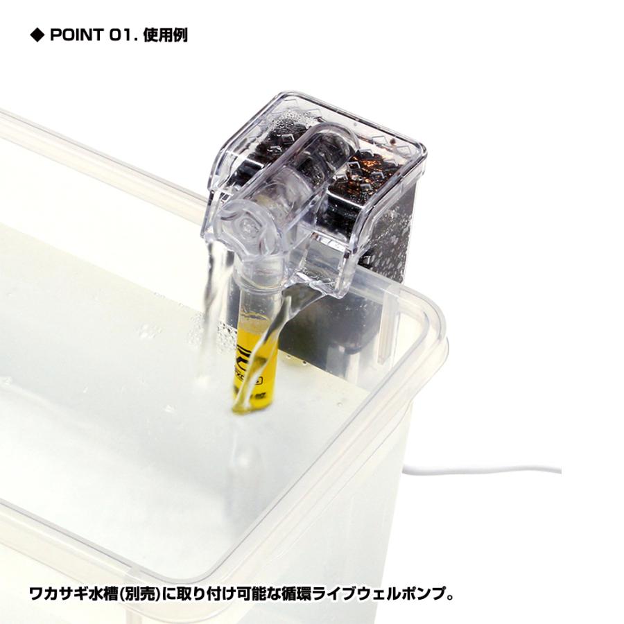 (PROX) 小魚ライブウェル循環ポンプ ミニ (PX025M) | PROX | 01