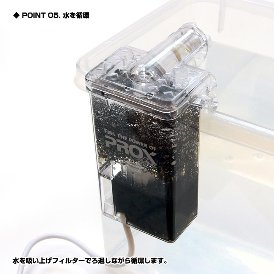 (PROX) 小魚ライブウェル循環ポンプ ミニ (PX025M) | PROX | 05