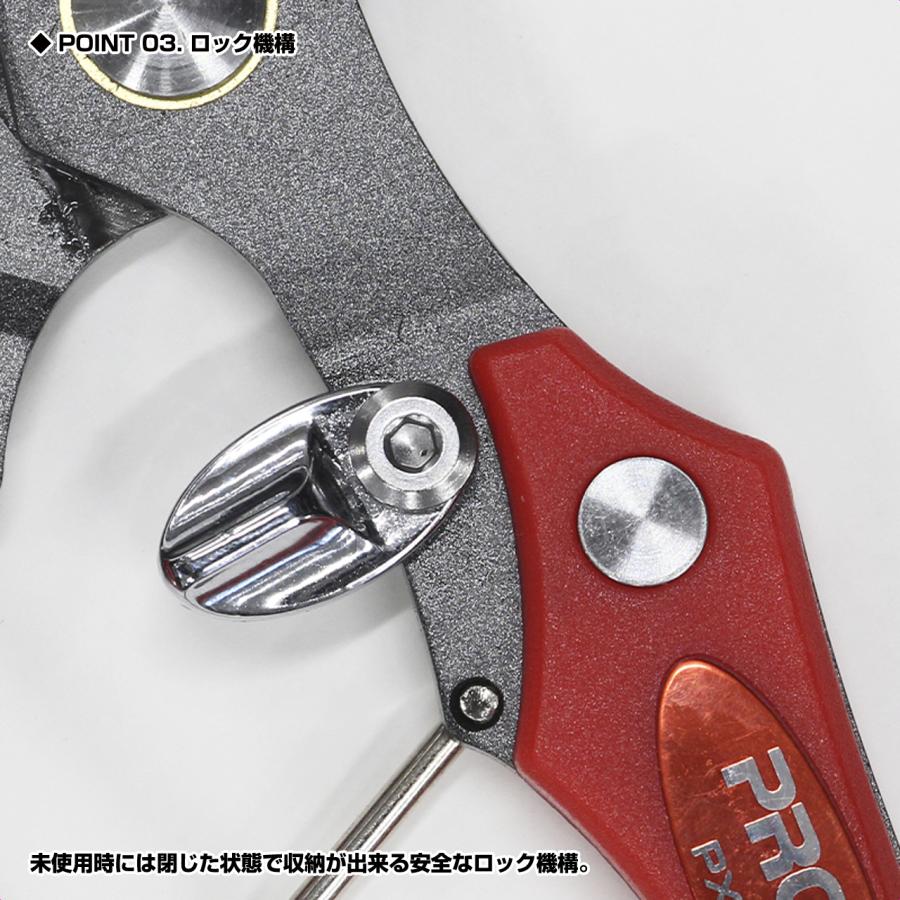 PROX（プロックス） 【クリックポスト発送】(PROX) フッ素コート