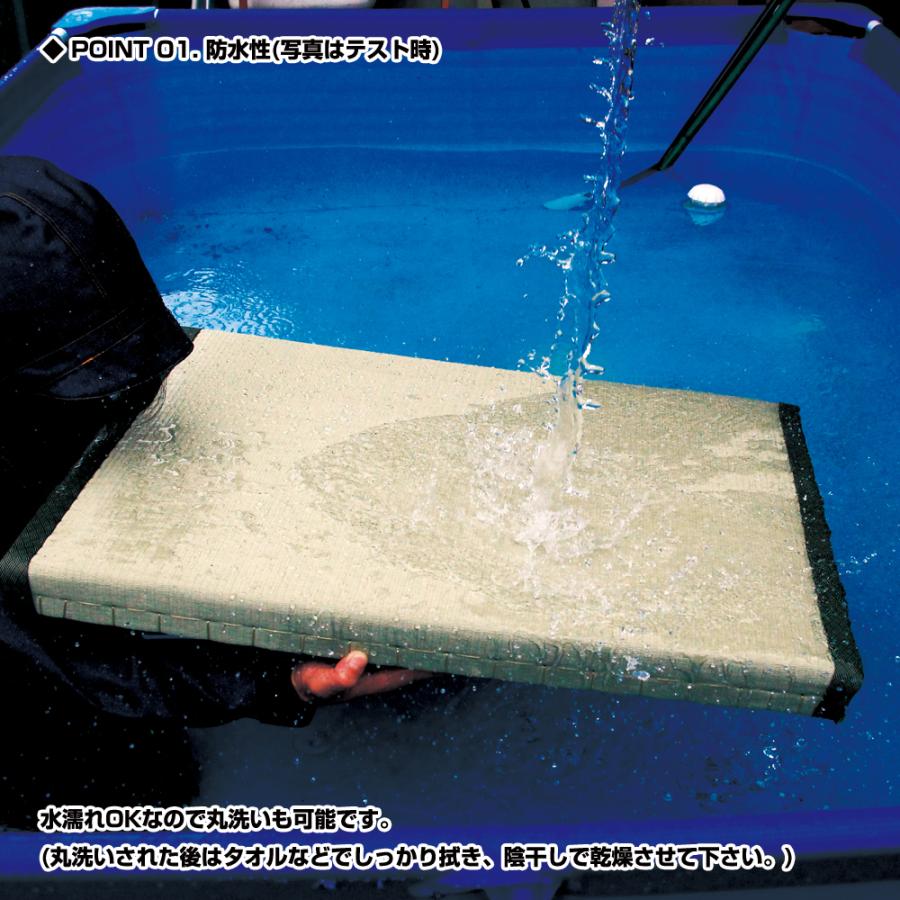 PROX（プロックス） アウトドア畳 0.3畳厚手 (PX36403) : プロックス