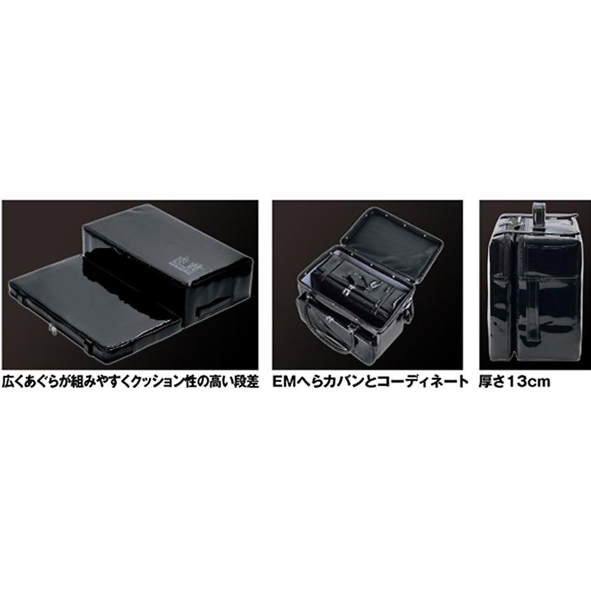 (PROX) EM超段差クッション (PX813) | PROX | 01