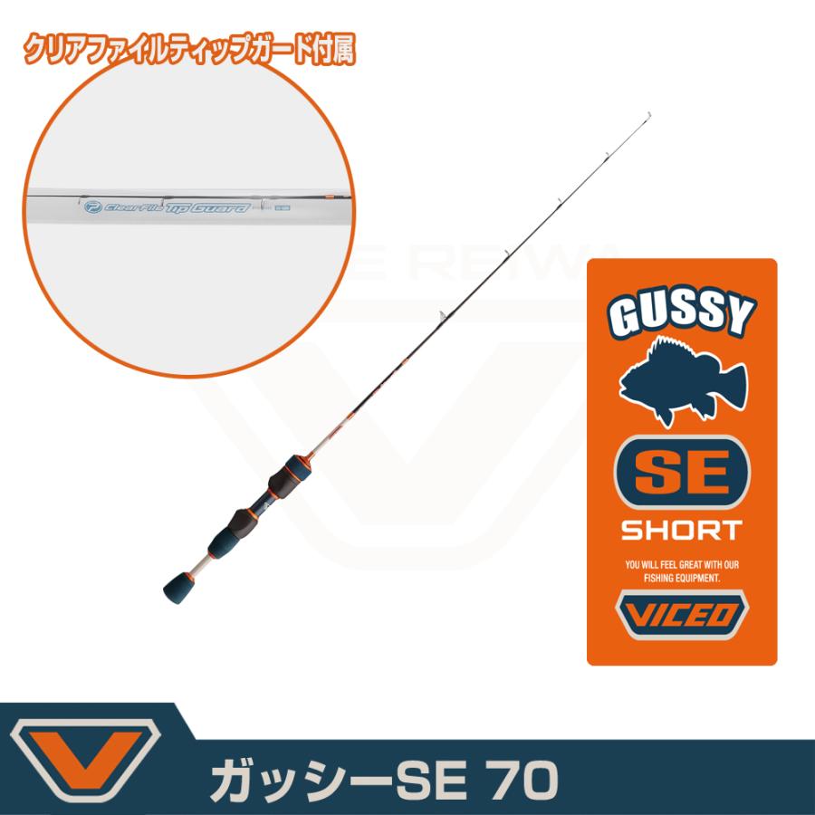 (VICEO) ガッシーSE 70 (VCGSS70) | PROX