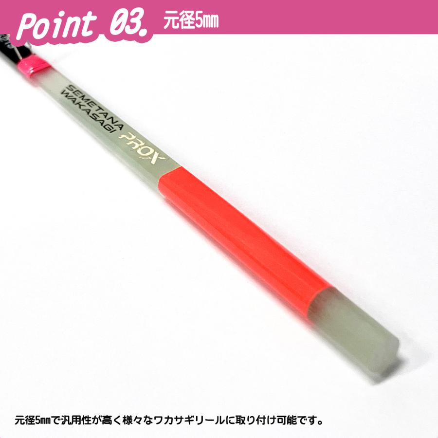 PROX（プロックス） 【クリックポスト発送】(PROX) 攻棚ワカサギ扁平