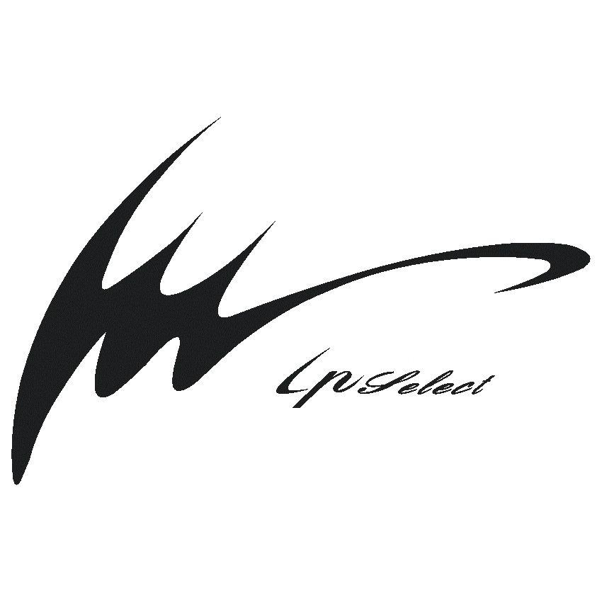 Ipselect　アイピーセレクト　Ip1000-23　硬式木製バット　84cm 870g平均 軽量 |  | 10