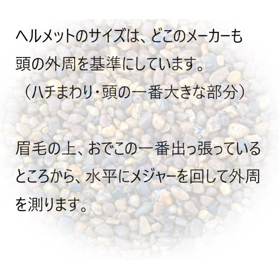 【日本正規品】25-26 SMITH Survey Mips スミス サーベイ ミップス M L XL size サイズ ダイヤルフィット ダイヤル調整 軽量 スキー スノーボード スノボ | SMITH（ヘルメット、サングラス） | 09