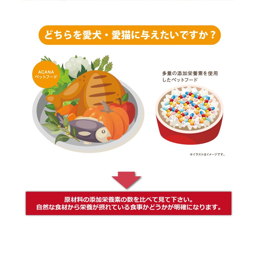 アカナ　フリーダンダック　6ｋｇ 