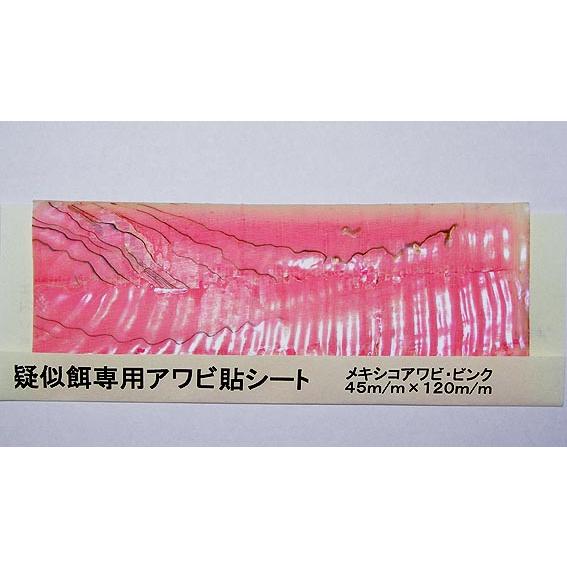 CVselection 疑似餌専用アワビ貼シート メキシコアワビ・ピンク/アワビ