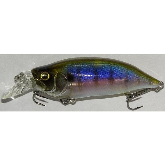 メガバス　アイバイアイシャッド　TYPE R セット Megabass（メガバス） アイバイアイシャッド TYPE-R / IxI SHAD TYPE-R