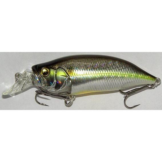 Megabass（メガバス） アイバイアイシャッド TYPE-R / IxI SHAD TYPE-R