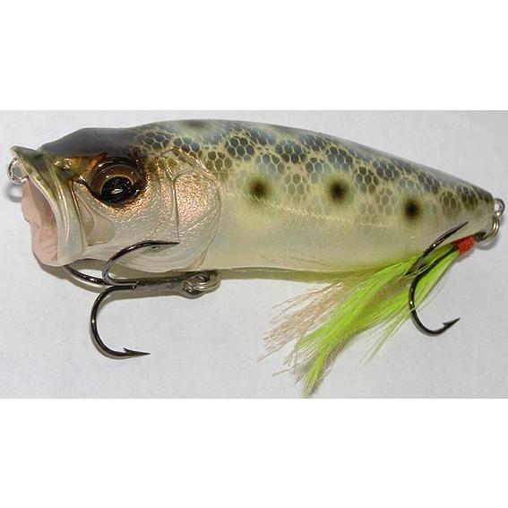 Megabass ポップマックス メガバス POP-MAX （ゲンロクモスラ） : プロ