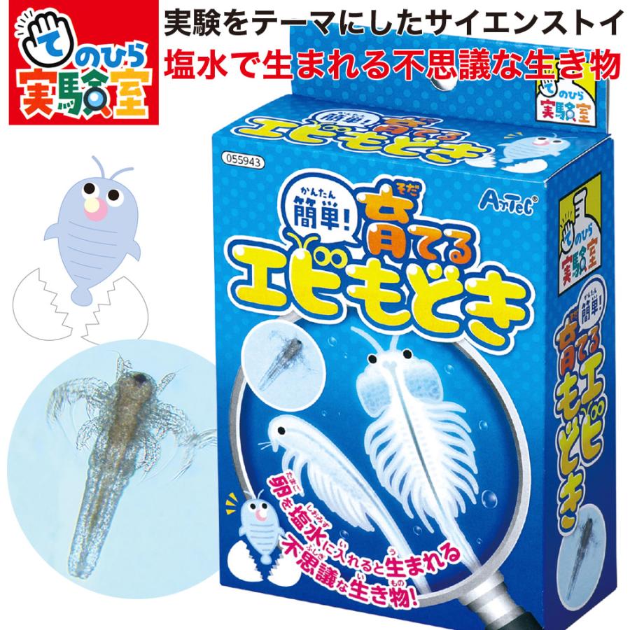 アーテック 実験 工作 キット てのひら実験室 サイエンストイ ろ過装置