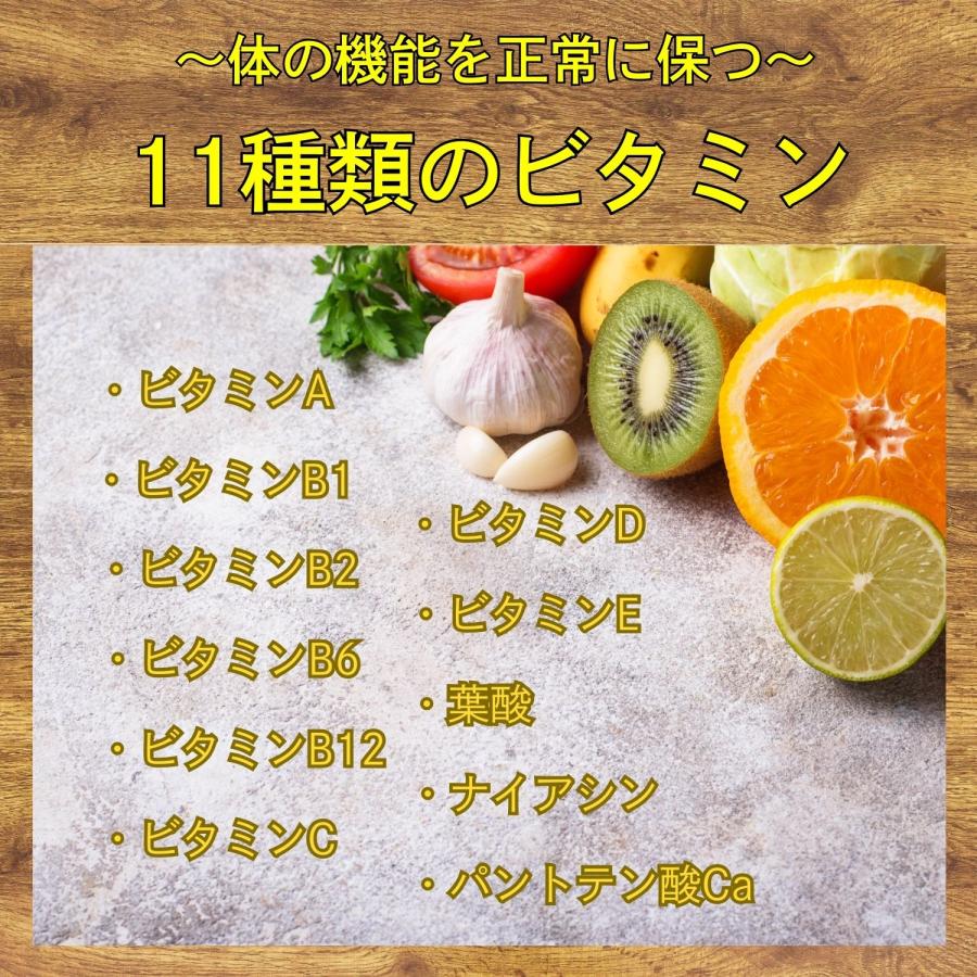 自然派健康志向プライマリー 【超特価27％オフ】 置き換えダイエット