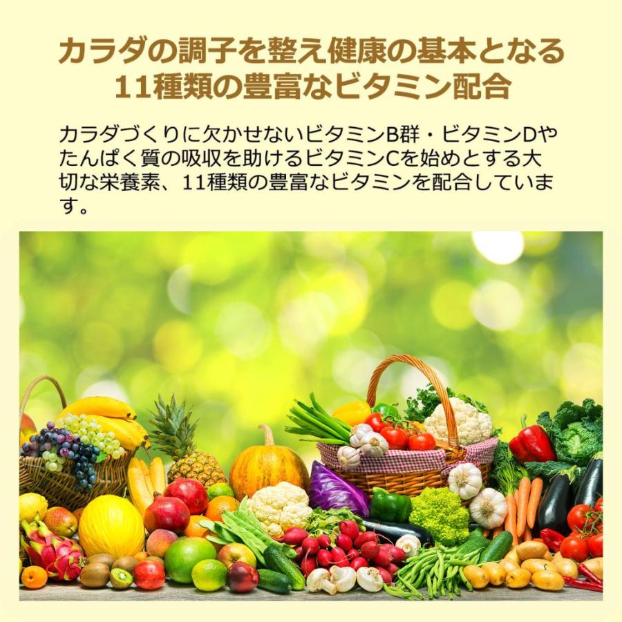 自然派健康志向プライマリー リニューアル ソイプロテイン 無添加 人工