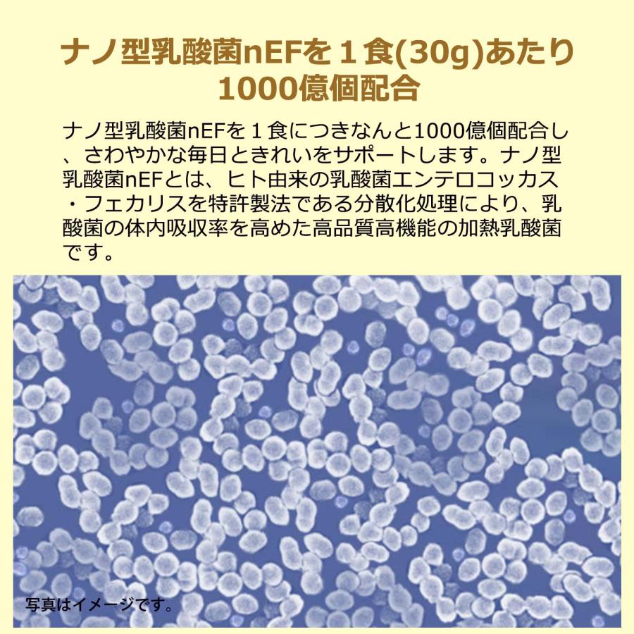 リニューアル ソイプロテイン 無添加 人工甘味料不使用 リッチチョコ味 1kg プロテイン 置き換え ダイエット 乳酸菌 食物繊維 爆買 【レビューで100pt〜】 | 自然派健康志向プライマリー | 08
