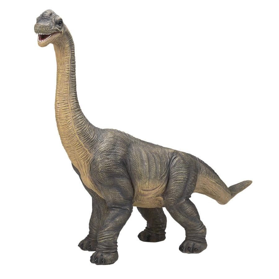 Brontosaurus 恐竜 ブロントサウルス 472点のブロントサウルスの