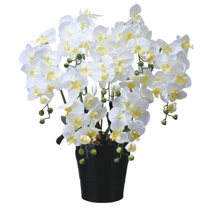 光触媒 人工観葉植物 ウォールグリーン フェイクグリーン キング胡蝶蘭