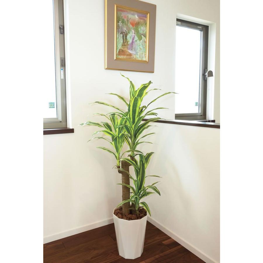 人工観葉植物 光触媒　428A200 フレッシュドラセナ　1.25　約 幅60×奥行60×高さ125cm