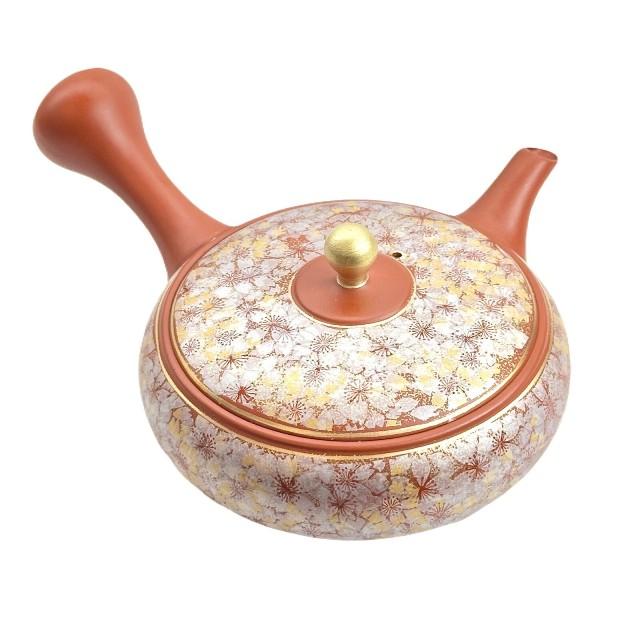 常滑焼x九谷焼のコラボ急須【セラメッシュ】石龍 朱泥/黒窯変 金