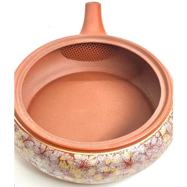 常滑焼x九谷焼のコラボ急須【セラメッシュ】石龍 朱泥/黒窯変 金