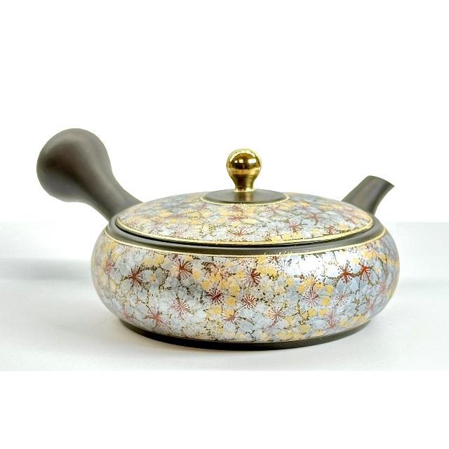 常滑焼x九谷焼のコラボ急須【セラメッシュ】石龍 朱泥/黒窯変 金