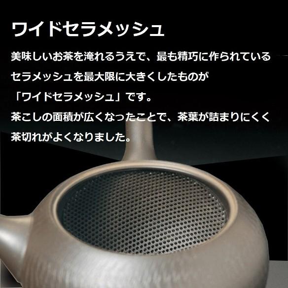 常滑焼急須【機能急須/ワイドセラメッシュ】北龍黒泥袋形千段急須 