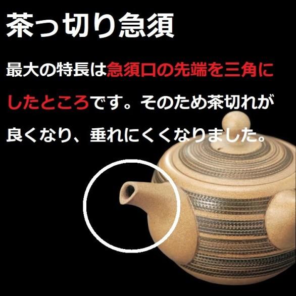 【極美品】常滑焼 緑泥 浮彫松図 急須「千年翠」細密彫刻 セラメッシュ 煎茶道具 常滑焼急須【茶っきり急須/セラメッシュ】玉光 茶藻掛茶っ切り急須
