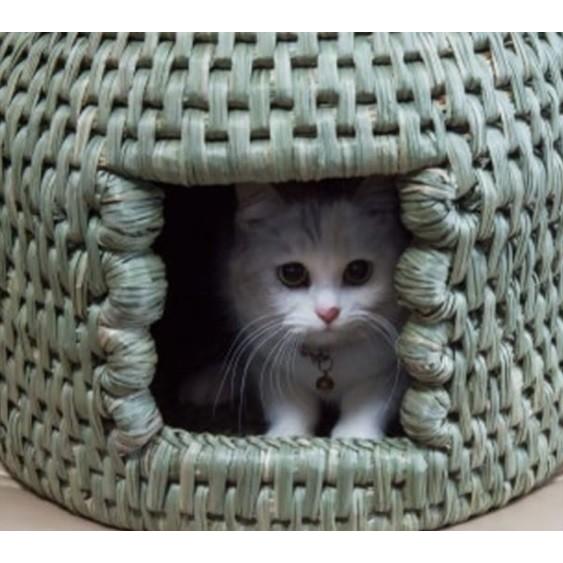 日本製 Made in Japan 七島藺（しちとうい）高級猫ちぐら ネコちぐら