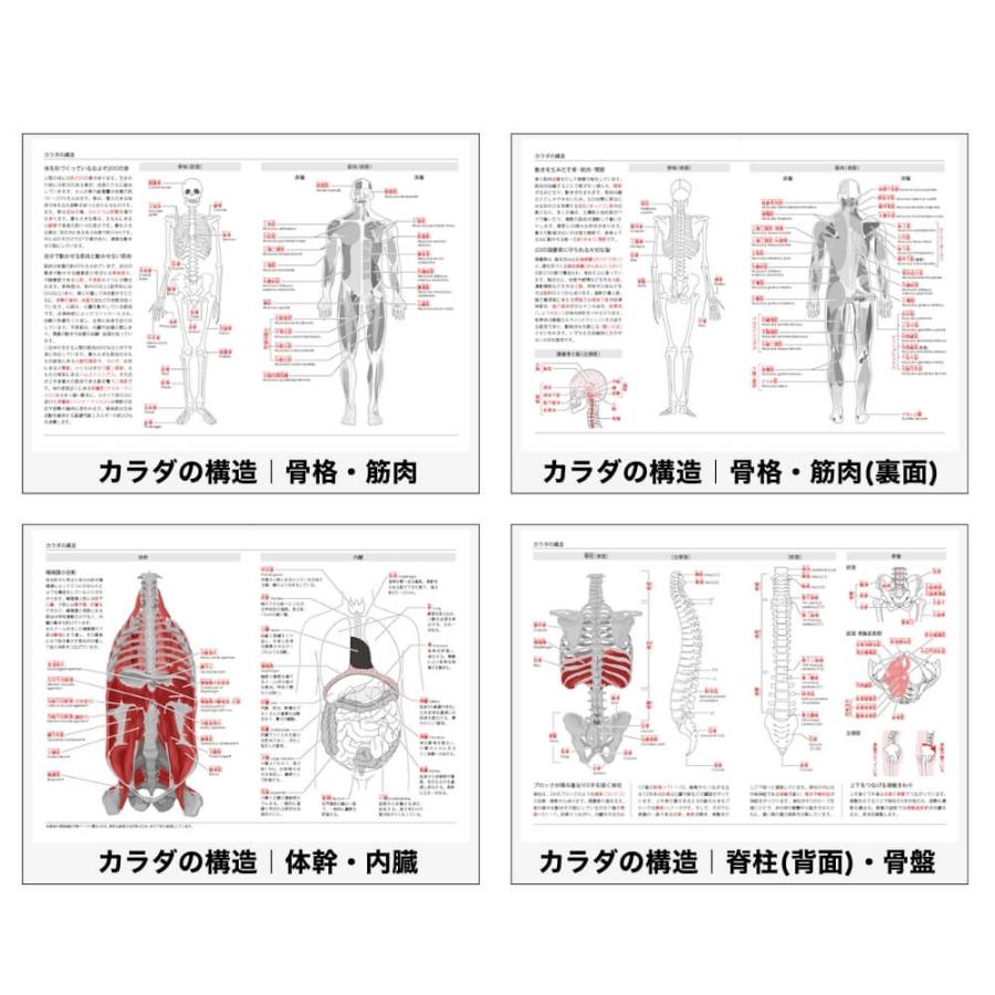 ヨガ手帳 2027 全9種 みんなのヨガ手帳 B6 ヨガ ダイアリー ヨガポーズ ヨギ ヨギーニ 10月始まり スケジュール帳 2027-2028年 中身 販売店 ヨガギフト | ブランド登録なし | 12