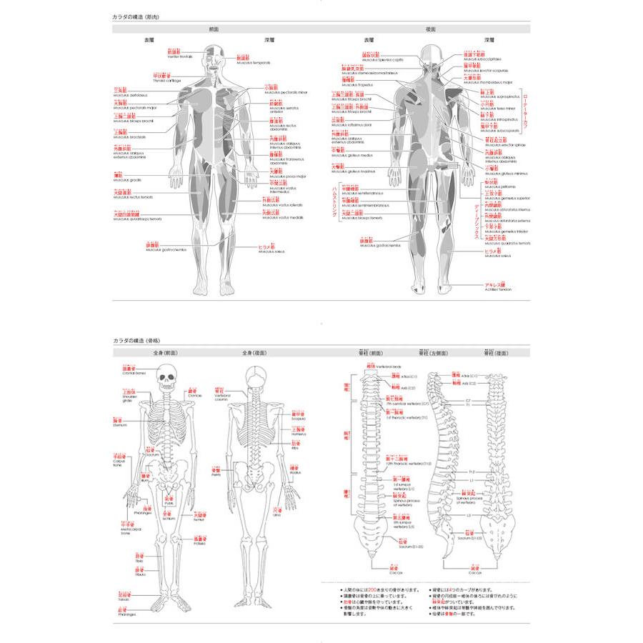ヨガ 手帳 ヨガ手帳 2026年版 b6サイズ TYG 全9柄 無地＆柄 限定カラーあり マンスリー ウィークリー 年間カレンダー ヨガ おしゃれ かわいい ギフト ヨガグッズ | ブランド登録なし | 15