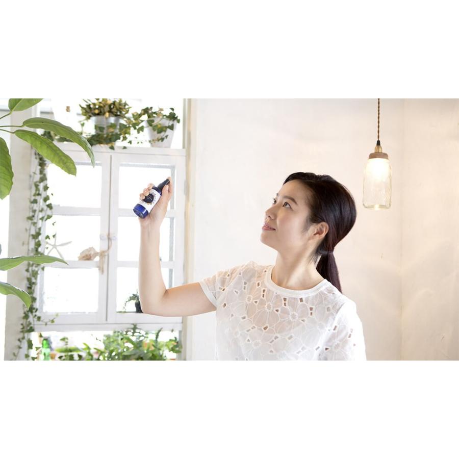 アビエス Abies スリーピングミスト 消臭 除菌 防カビ ウイルス不活性 ウイルス スプレー 除菌 対策 |  | 09