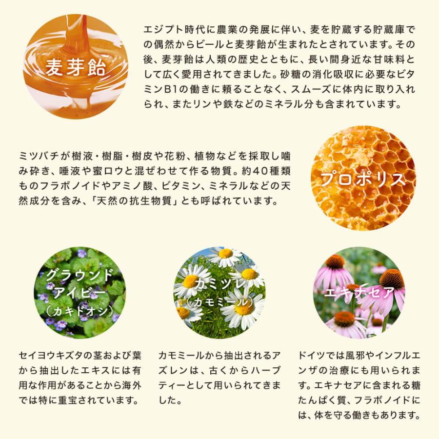 2点セット 百年はちみつのど飴 生姜レモン味 だいじょうぶなもの のど飴 個包装 はちみつ 飴 ハーブキャンディ レザーウッドハニー 蒸し生姜 国産生姜 レモン プ | たかくら新産業 | 07