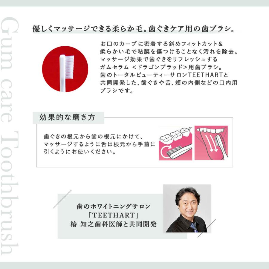 6本セット メイドオブオーガニクス 歯ブラシ ティースアート ホワイトニング デイリー ガムケア made of organics 日本製 | made of Organics | 07