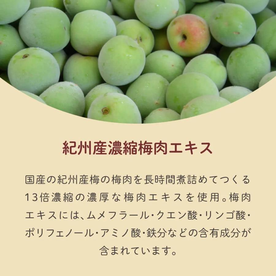2点セット 百年はちみつのど飴 選べるセット だいじょうぶなもの 飴 生姜レモン ゆず 紀州梅とルイボス 個包装 はちみつのど飴 無添加 プロポリス プチギフト | だいじょうぶなもの | 11