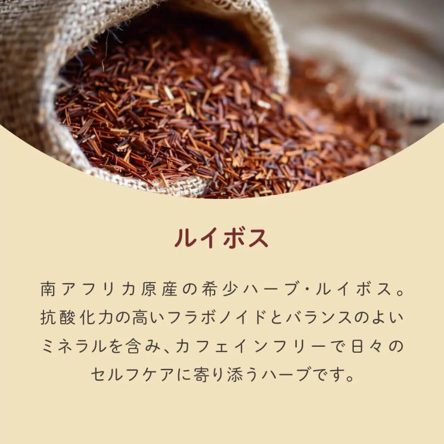 2点セット 百年はちみつのど飴 選べるセット だいじょうぶなもの 飴 生姜レモン ゆず 紀州梅とルイボス 個包装 はちみつのど飴 無添加 プロポリス プチギフト | だいじょうぶなもの | 12