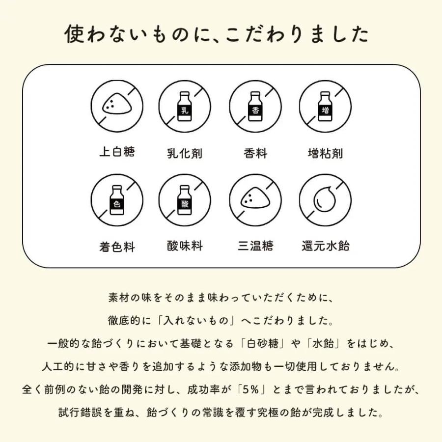 百年はちみつのど飴 だいじょうぶなもの のど飴 ゆずハーブのど飴 個包装 無添加 ハチミツ ゆず ハーブ 飴 プチギフト お礼 ギフト | たかくら新産業 | 08