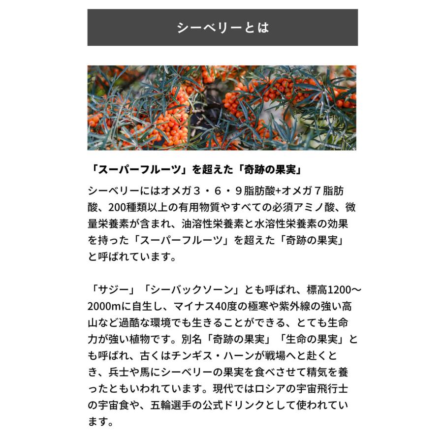 4点セット 北欧産プレミアム サジージュース シーベリージュース スティック 15g×15本入り 北欧産 オーガニック 無添加 ノンカフェイン ドリンク だいじょうぶの画像