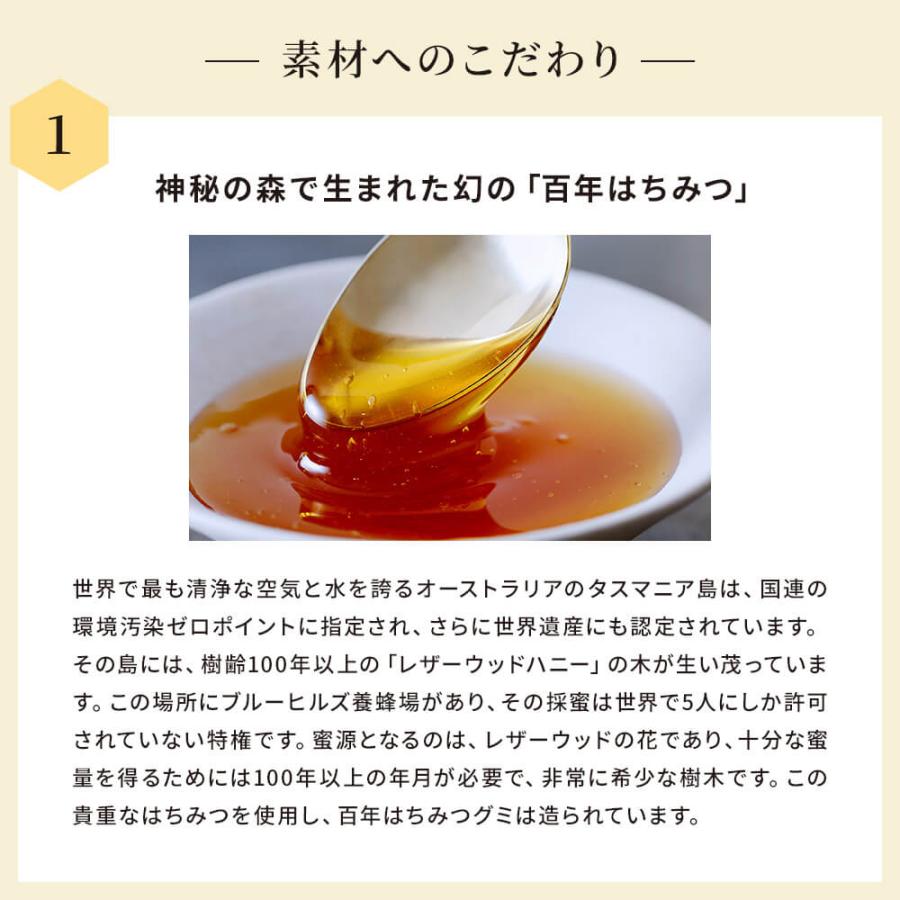 4点セット だいじょうぶなもの 百年はちみつグミ 無添加 ぐみ ざくろ シーベリー ザクロ レザーウッドハニー 国産 ギルトフリー ギフト おやつ | だいじょうぶなもの | 11