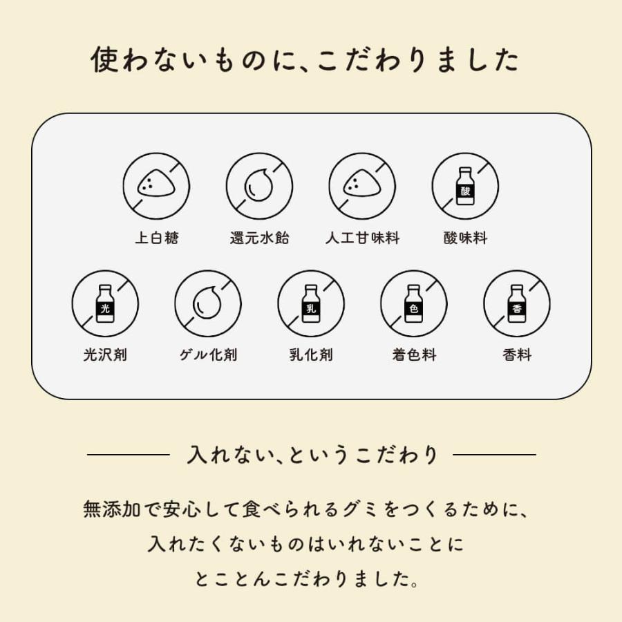 だいじょうぶなもの 百年はちみつグミ 無添加 ぐみ ざくろ シーベリー ザクロ レザーウッドハニー 国産 ギルトフリー ギフト おやつ | だいじょうぶなもの | 13