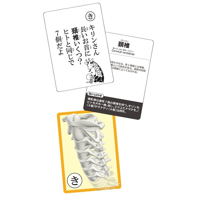 ラウンドフラット 骨かるた カードゲーム かるた カルタ 骨イラス |  | 01