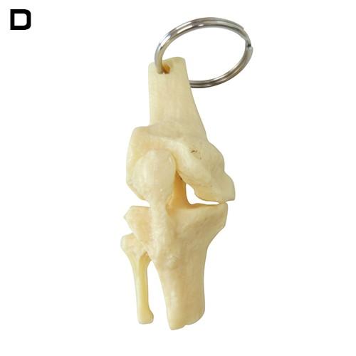 人体模型・骨格 キーホルダー ラウンドフラット |  | 05