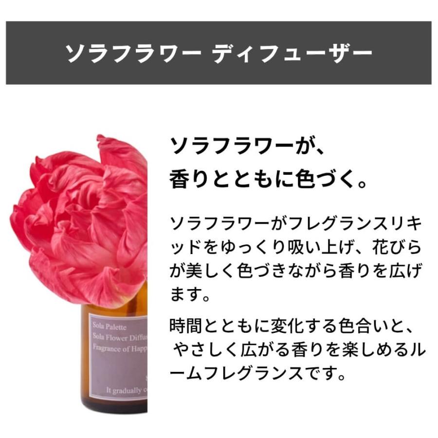 SOLA Palette ソラパレット ソラフラワーディフューザー SOLA FLOWER 天然素材 リードディフューザー 芳香剤 おしゃれ ギフト | ブランド登録なし | 02