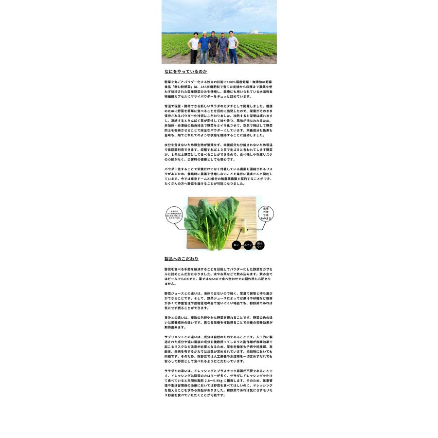 野菜サプリ 飲む粉野菜 ヴィーガン ベジタブルテック サラダの代わりになる野菜サプリ 180粒タイプ 9つの野菜 ケール・人参葉・ごぼう 赤紫蘇・紫人参・紅大根 | ブランド登録なし | 18