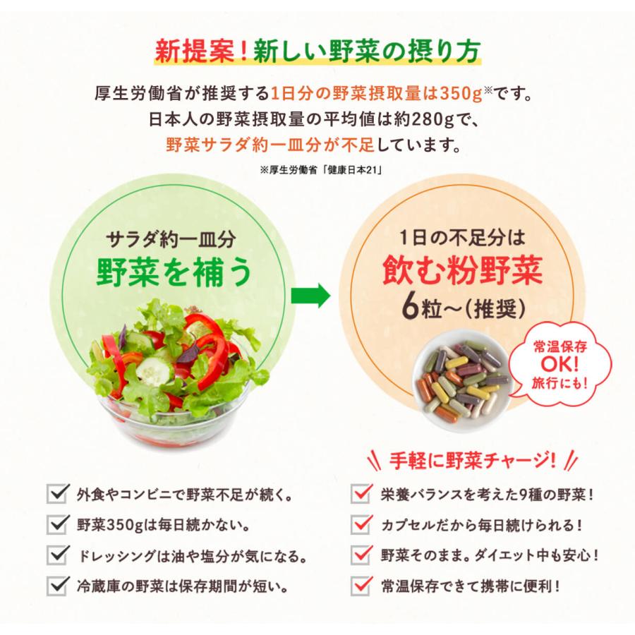 野菜サプリ 飲む粉野菜 ヴィーガン ベジタブルテック サラダの代わりになる野菜サプリ 180粒タイプ 9つの野菜 ケール・人参葉・ごぼう 赤紫蘇・紫人参・紅大根 | ブランド登録なし | 01